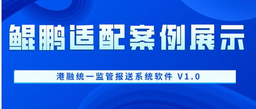 鯤鵬適配案例展示 港融統(tǒng)一監(jiān)管報(bào)送系統(tǒng)軟件 v1.0 與信息技術(shù)咨詢服務(wù)